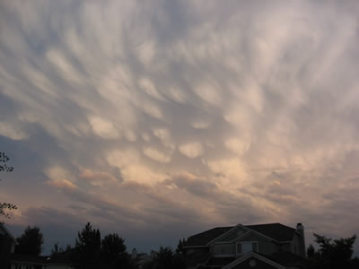 <a
  href="/earth/Atmosphere/clouds/mammatus.html&dev=">Mammatus
  clouds</a> are pouches of clouds that hang underneath the base of a cloud.
  They are usually seen with <a
  href="/earth/Atmosphere/clouds/cumulonimbus.html&dev=">cumulonimbus
  clouds</a> that produce very <a
  href="/earth/Atmosphere/tstorm.html&dev=">strong
  storms</a>. This photograph of mammatus clouds was taken on June 21, 2006 in
  Boulder, Colorado, at sunset. Notice how the light from the sun highlights
  the round features of these clouds.<p><small><em>       Courtesy of Roberta Johnson</em></small></p>