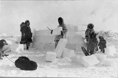<a href="/earth/polar/inuit_culture.html&edu=elem&lang=sp">Los  Inuit</a> son las culturas nativas que an viven en las costas de la <a href="/earth/polar/arctic_tundra.html&edu=elem&lang=sp"> tundra rtica</a> en Canad, Alaska (USA), Siberia (Rusia), and Groenlandia. Esta foto muestra varios inuits construyendo un igl con bloques de <a   href="/earth/polar/cryosphere_snow1.html&edu=elem&lang=sp">nieva</a>el 24 de noviembre, 1924. Tradicionalmente han vivido en igls durante los meses ms fros, y en tiendas de campaas durante los ms clidos.<p><small><em>        Imgenes y fotografas de la Biblioteca del Congreso, Fotografas por Frank E. Kleinschmidt</em></small></p>