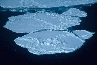 La produccin de hielo marino es tambin importante en la estratificacin de las aguas del Ocano rtico. A medida que se produce <a href="/earth/polar/sea_ice.html&edu=elem&lang=sp">hielo marino</a> cerca del Estrecho de Bering, la sal es liberada en el resto del agua no congelada. Esta agua lquida se hace muy salada y densa, y se hunde bajo el agua relativamente dulce del rtico, formando una capa conocida como la <a href="/earth/Water/salinity_depth.html&edu=elem&lang=sp">Haloclina</a>. La capa Haloclina acta como una barrera entre el hielo marino y las aguas clidas y saladas que vienen del Atlntico.<p><small><em>        NASA</em></small></p>