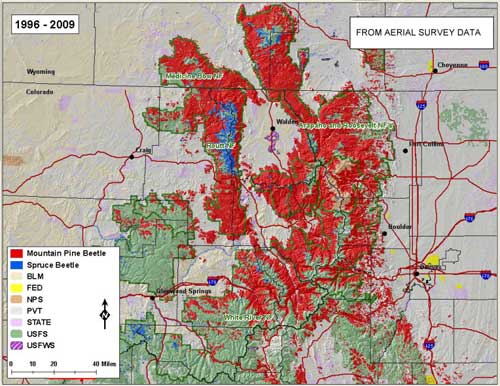 Progress map 1996-2009.jpg